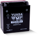Yuasa Battery YUAM32X61 - Yuasa YTX16-BS-1 Maintenance Free AGM 12-Volt Battery w/Bottle