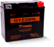 Yuasa Battery YUAM720GH - Yuasa GYZ20HL High Performance Maintenance Free AGM 12-Volt Battery
