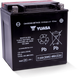 Yuasa Battery YUAM6230XPW - Yuasa YIX30L-BS-PW High Performance Maintenance Free AGM 12-Volt Battery w/Bottle
