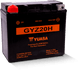 Yuasa Battery YUAM72RGH - Yuasa GYZ20H High Performance Maintenance Free AGM 12-Volt Battery