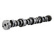 Ford Racing M-6250-F303 - Small Block V-8 Hydraulic Roller Tappet Camshafts