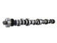 Ford Racing M-6250-F303 - Small Block V-8 Hydraulic Roller Tappet Camshafts