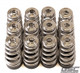 GSC Power Division 5017 - GSC P-D Toyota G16E Conical Valve Spring and Ti Retainer Kit
