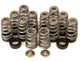 GSC Power Division 5017 - GSC P-D Toyota G16E Conical Valve Spring and Ti Retainer Kit