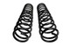 Icon 95230 - 21-24 Raptor Triple Rate Coil Spring Kit