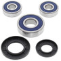 All Balls Racing 25-1344 - 91-97 Suzuki GSX250 (Euro) Wheel Bearing Kit - Rear
