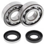 All Balls Racing 24-1109 - 1993 Husqvarna CR250 Crank Shaft Bearing Kit
