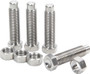 AllStar Performance ALL17034 - Torsion Stop Weight Adjuster Kit Titanium