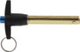 AllStar Performance ALL60320 - Quick Release Pin 1/2in x 2-1/2in