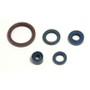 Athena P400220400255 - 03-04 Husqvarna TE/TC 250-450 Engine Oil Seal Kit