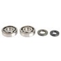 Athena P400250444256 - 94-01 Kawasaki KX 250 Main Bearing & Seal Kit