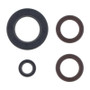 Athena P400270400031 - 74-81 KTM 250 2T GS-MX Engine Oil Seal Kit