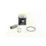 Athena S4C03950002A - 21-23 GASGAS MC 50 39.46mm Bore 2T Cast Piston