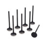 BLOX Racing BXPT-20203 - Racing High Compression Exhaust Valve Set for K-series DOHC i-VTEC