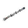 COMP Cams 07-306-8 - Camshaft LT1 290HR-12