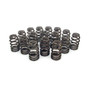 COMP Cams 26986-16 - Valve Springs 1.415in Beehive