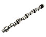 COMP Cams 51-423-11 - Camshaft P8 XR276HR-10