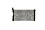 CSF 3889 - 18-19 Subaru Crosstrek 2.0L OEM Plastic Radiator