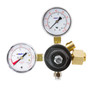 Dedenbear ABR - CO2 BOTTLE REGULATOR ONLY, ADJUSTABLE, DUAL GAUGES