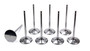 Del West IV-2180-6T-310-CRST-8 - 5/16 Intake Valves - 2.180