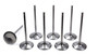 Del West IV-2180-7T-310-CRST-8 - 5//16 Intake Valves - 2.180