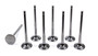 Del West EV-1625-6T-CRST-8 - 11/32 Exhaust Valves - 1.625