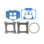Demon 1920 - Street ® Carburetor Rebuild Kit