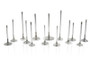 Ferrea F2046P - Chevrolet LT1 Gen 5 1.6in 0.313in 5.2in 24 Deg S-Flo Rad Grv Hollow Exhaust Valve - Set of 8