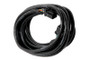 Haltech HT-040066 - CAN Cable 8 Pin Black Tyco to 8 Pin Black Tyco 3000mm (120in)