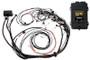 Haltech HT-151369 - Elite 2500 Terminated Harness ECU Kit w/EV1 Injector Connectors