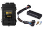 Haltech HT-151354 - Elite 2500 Adaptor Harness ECU Kit