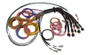 Haltech HT-185200 - NEXUS R5 Universal Wire-In Harness - 2.5M (8ft)