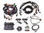 Holley EFI 550-616 - HP EFI ECU & Harness Kits