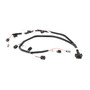 Holley EFI 558-314 - Ignition Coil Harness
