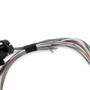Holley EFI 558-462 - Terminator X Input/Output Harness