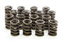 Isky Cams 6105SP - Dual Valve Springs w/Damper - LS1
