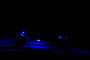 KC HiLiTES 339 - C-Series RGB LED Rock Light Kit (Incl. Wiring) - Set of 6