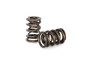 Kelford KVS08 - Race Valve Spring