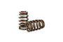 Kelford KVS3800 - Valve Springs