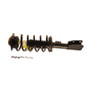 KYB SR4160 - Shocks & Struts Strut Plus Front Left Chevy Equinox 05-06