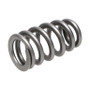 Manley 221439-16 - Chrysler Hemi 6.4L NexTek Series High Performance Valve Springs .650 Max Lift