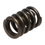 Manley 22406-1 - Valve Spring, SPRING-1.550 SINGLE