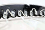 Morimoto LED163 - Profile Pivot SS Chip Kit (4 pc)