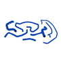 Mishimoto MMHOSE-SVT-02BL - 02-04 Ford Focus SVT Blue Silicone Hose Kit