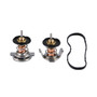 Mishimoto MMTS-F2D-08L - Ford 6.4L Powerstroke Low-Temperature Thermostats (set of 2), 2008-2010