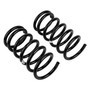 Old Man Emu 2905 - ARB Coil Maz Tribute R