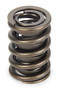 PAC Racing PAC-1924-1 - Valve Spring - HR Series (1)