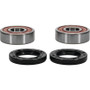 Pivot Works 25-1027-P - Pw Premium Wheel Bearing
