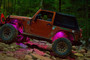 ORACLE Lighting 5818-333 - Bluetooth + RF Underbody Rock Light Kit - 4 PCS - ColorSHIFT