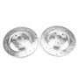PowerStop EBR1464XPR - Power Stop 15-16 Mercedes-Benz SL400 Rear Evolution Drilled & Slotted Rotors - Pair